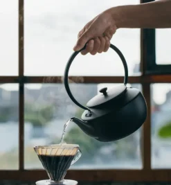 BALMUDA MoonKettle - Black