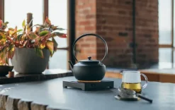 BALMUDA MoonKettle - Black