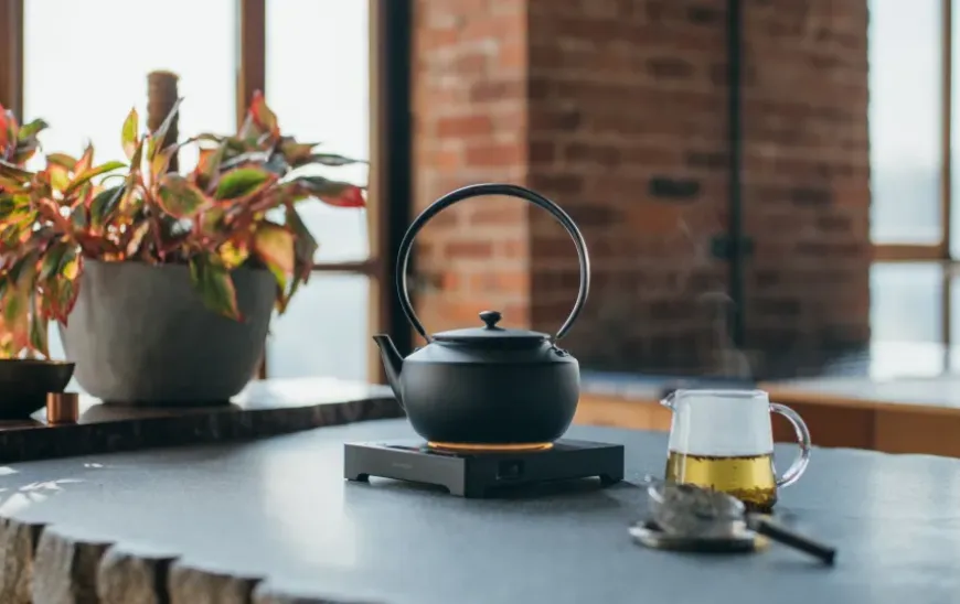 BALMUDA MoonKettle - Black