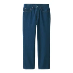 Men's Denim Regular Pants Blue (L 30inch / 76cm)